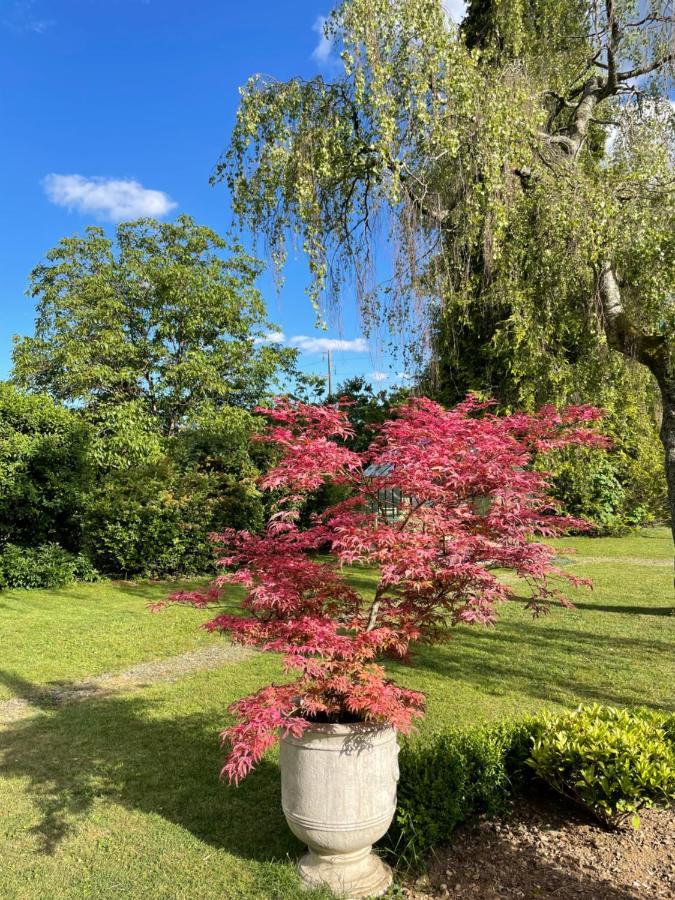 Au Temps Suspendu Bed & Breakfast Champagney Bagian luar foto