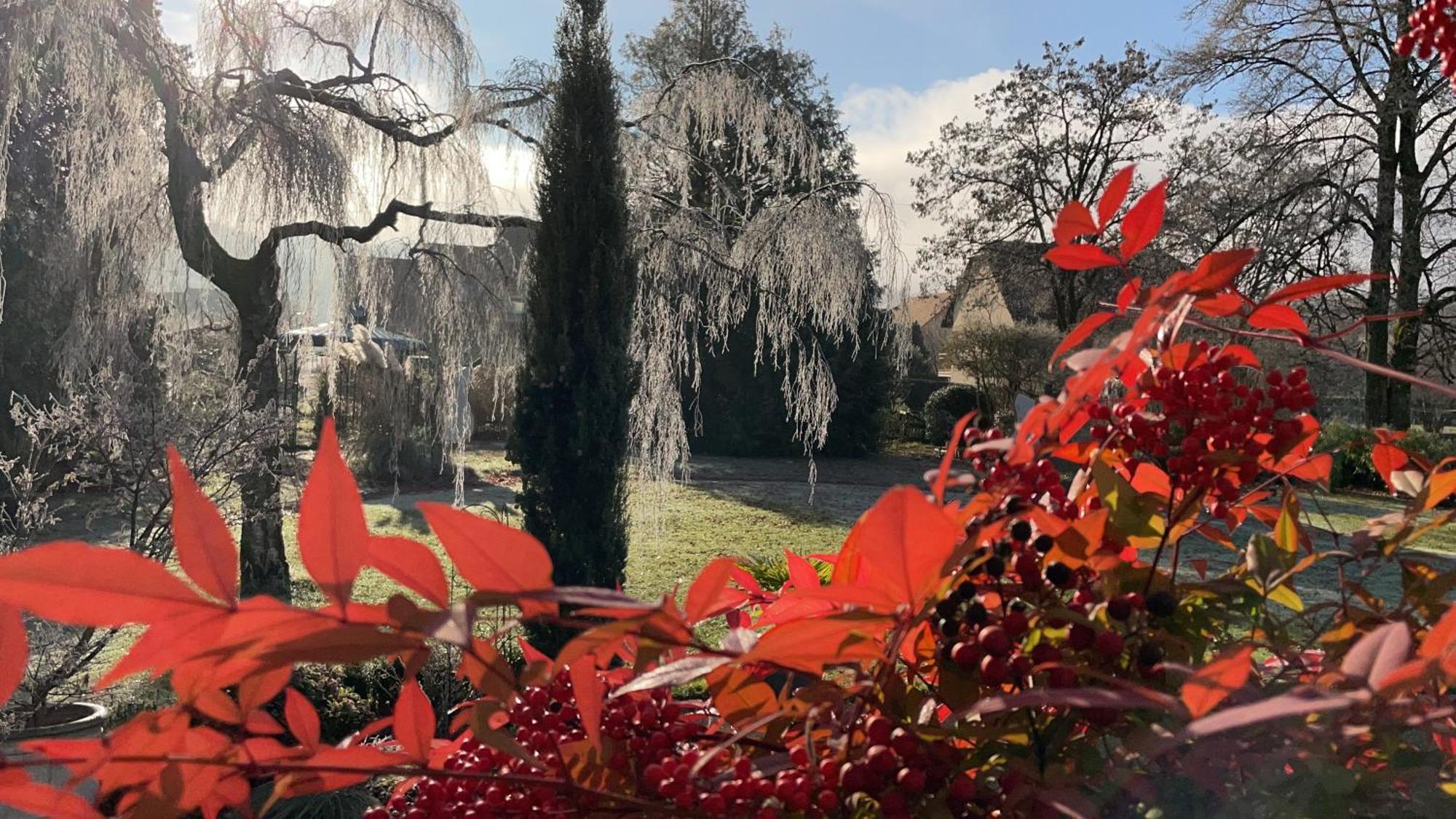 Au Temps Suspendu Bed & Breakfast Champagney Bagian luar foto