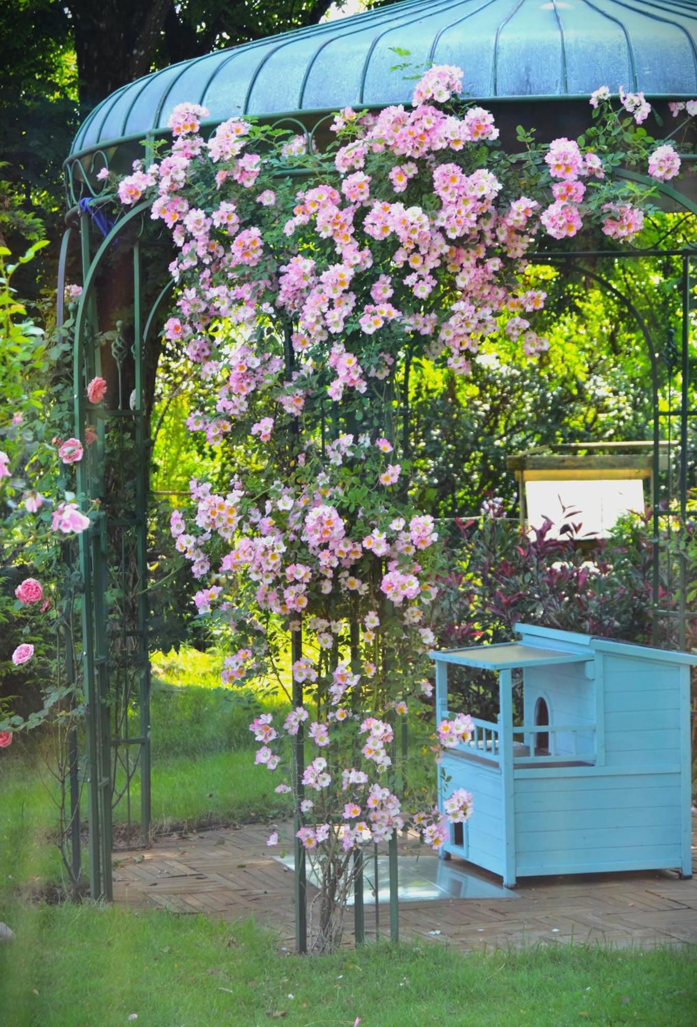 Au Temps Suspendu Bed & Breakfast Champagney Bagian luar foto